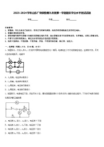 2023-2024学年山东广饶县物理九年级第一学期期末学业水平测试试题含答案