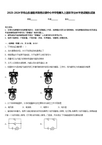 2023-2024学年山东省临沭县青云镇中心中学物理九上期末学业水平测试模拟试题含答案