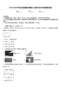 2023-2024学年山东省威海市物理九上期末学业水平测试模拟试题含答案