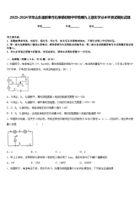 2023-2024学年山东省新泰市石莱镇初级中学物理九上期末学业水平测试模拟试题含答案