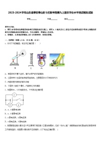 2023-2024学年山东省泰安泰山区七校联考物理九上期末学业水平测试模拟试题含答案