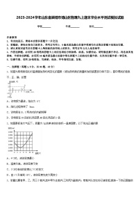 2023-2024学年山东省淄博市博山区物理九上期末学业水平测试模拟试题含答案