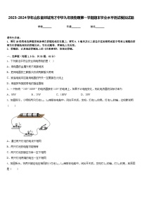 2023-2024学年山东省郯城育才中学九年级物理第一学期期末学业水平测试模拟试题含答案