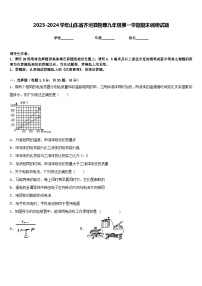 2023-2024学年山东省齐河县物理九年级第一学期期末调研试题含答案