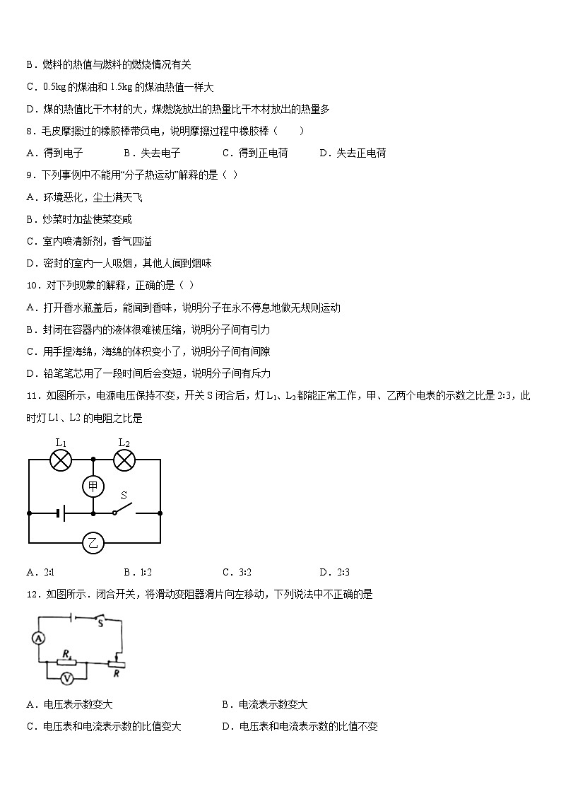 2023-2024学年山东省齐河县物理九年级第一学期期末调研试题含答案03