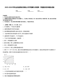 2023-2024学年山东省青岛市黄岛六中学物理九年级第一学期期末统考模拟试题含答案