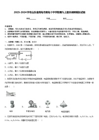 2023-2024学年山东省青岛市黄岛十中学物理九上期末调研模拟试题含答案