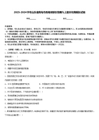 2023-2024学年山东省青岛市西海岸新区物理九上期末经典模拟试题含答案