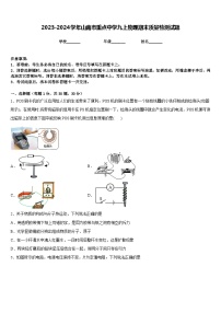 2023-2024学年山南市重点中学九上物理期末质量检测试题含答案