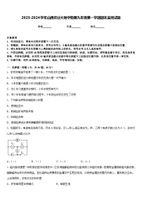 2023-2024学年山西农业大附中物理九年级第一学期期末监测试题含答案