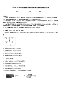 2023-2024学年山西省洪洞县物理九上期末调研模拟试题含答案