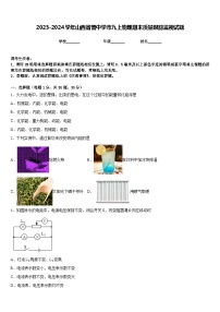 2023-2024学年山西省晋中学市九上物理期末质量跟踪监视试题含答案