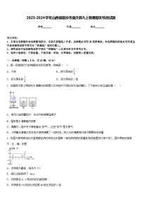 2023-2024学年山西省临汾市曲沃县九上物理期末检测试题含答案