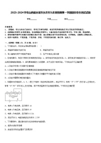 2023-2024学年山西省运城市永济市九年级物理第一学期期末综合测试试题含答案