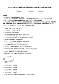 2023-2024学年山西省吕梁市柳林县物理九年级第一学期期末预测试题含答案