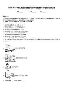 2023-2024学年山西省运城市新绛县九年级物理第一学期期末调研试题含答案