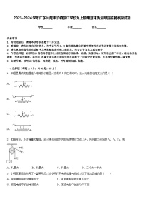 2023-2024学年广东汕尾甲子镇瀛江学校九上物理期末质量跟踪监视模拟试题含答案