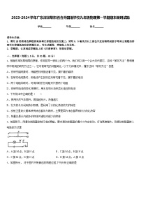 2023-2024学年广东深深圳市百合外国语学校九年级物理第一学期期末调研试题含答案