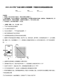 2023-2024学年广东省大埔县九年级物理第一学期期末质量跟踪监视模拟试题含答案