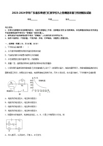 2023-2024学年广东省东莞虎门汇英学校九上物理期末复习检测模拟试题含答案