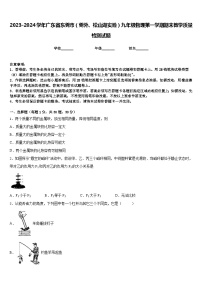 2023-2024学年广东省东莞市（莞外、松山湖实验）九年级物理第一学期期末教学质量检测试题含答案