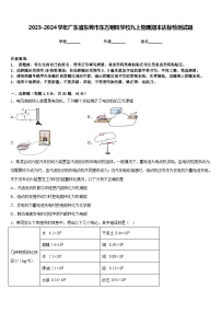 2023-2024学年广东省东莞市东方明珠学校九上物理期末达标检测试题含答案