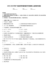 2023-2024学年广东省东莞市横沥爱华学校物理九上期末联考试题含答案