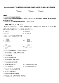 2023-2024学年广东省东莞市虎门外语学校物理九年级第一学期期末复习检测试题含答案