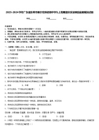 2023-2024学年广东省东莞市寮步宏伟初级中学九上物理期末质量跟踪监视模拟试题含答案