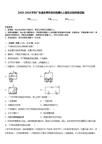 2023-2024学年广东省东莞市名校物理九上期末达标检测试题含答案