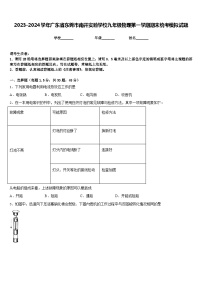 2023-2024学年广东省东莞市南开实验学校九年级物理第一学期期末统考模拟试题含答案