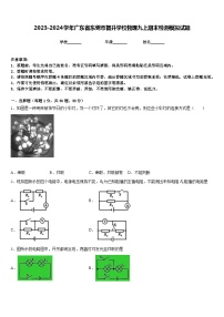 2023-2024学年广东省东莞市智升学校物理九上期末检测模拟试题含答案