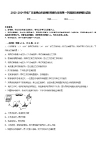 2023-2024学年广东省佛山市高明区物理九年级第一学期期末调研模拟试题含答案