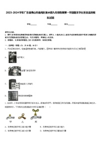 2023-2024学年广东省佛山市南海区里水镇九年级物理第一学期期末学业质量监测模拟试题含答案