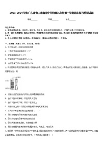 2023-2024学年广东省佛山市南海中学物理九年级第一学期期末复习检测试题含答案