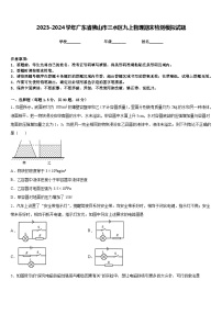 2023-2024学年广东省佛山市三水区九上物理期末检测模拟试题含答案