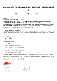 2023-2024学年广东省佛山市顺德区碧桂园学校物理九年级第一学期期末调研模拟试题含答案