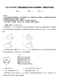 2023-2024学年广东省佛山顺德区五校联考九年级物理第一学期期末考试试题含答案