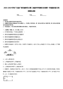 2023-2024学年广东省广州华南师范大第二附属中学物理九年级第一学期期末复习检测模拟试题含答案