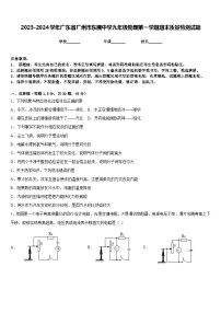 2023-2024学年广东省广州市东圃中学九年级物理第一学期期末质量检测试题含答案