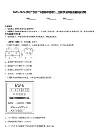 2023-2024学年广东省广州四中学物理九上期末质量跟踪监视模拟试题含答案