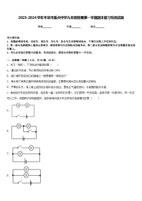 2023-2024学年平凉市重点中学九年级物理第一学期期末复习检测试题含答案