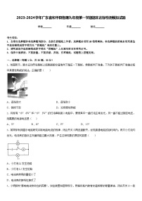 2023-2024学年广东省和平县物理九年级第一学期期末达标检测模拟试题含答案