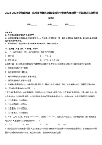 2023-2024学年山西省（临汾市尧都区兴国实验学校物理九年级第一学期期末达标检测试题含答案