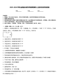 2023-2024学年山西省运城市芮城县物理九上期末质量检测试题含答案