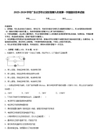 2023-2024学年广东云浮市云安区物理九年级第一学期期末统考试题含答案