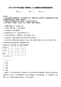 2023-2024学年山西省（朔州地区）九上物理期末质量跟踪监视试题含答案