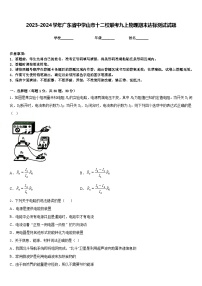 2023-2024学年广东省中学山市十二校联考九上物理期末达标测试试题含答案