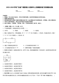 2023-2024学年广东省广州荔湾区六校联考九上物理期末复习检测模拟试题含答案