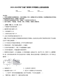 2023-2024学年广东省广州市第三中学物理九上期末监测试题含答案